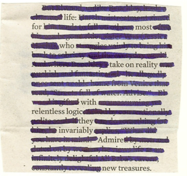 Learn How to Make Erasure Poetry project image